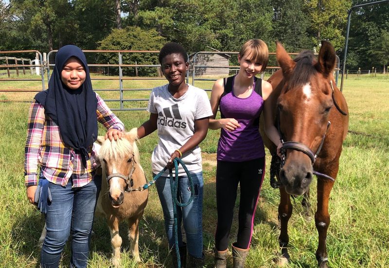 Planet Peace Farm (Raleigh)