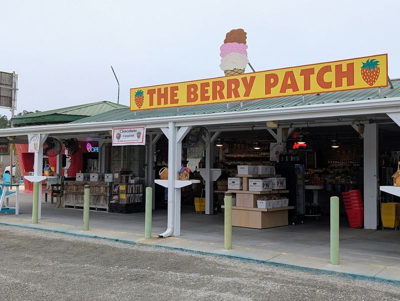 The Berry Patch (Ellerbe)