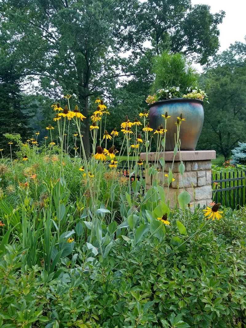 Wildlife and Natural Features &mdash; Wildflowers and Streams