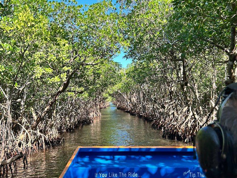Everglades City Airboat Tours