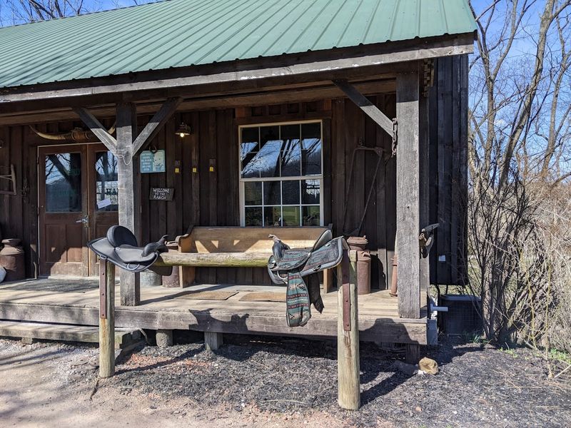 Camping Facilities for Equestrian Enthusiasts