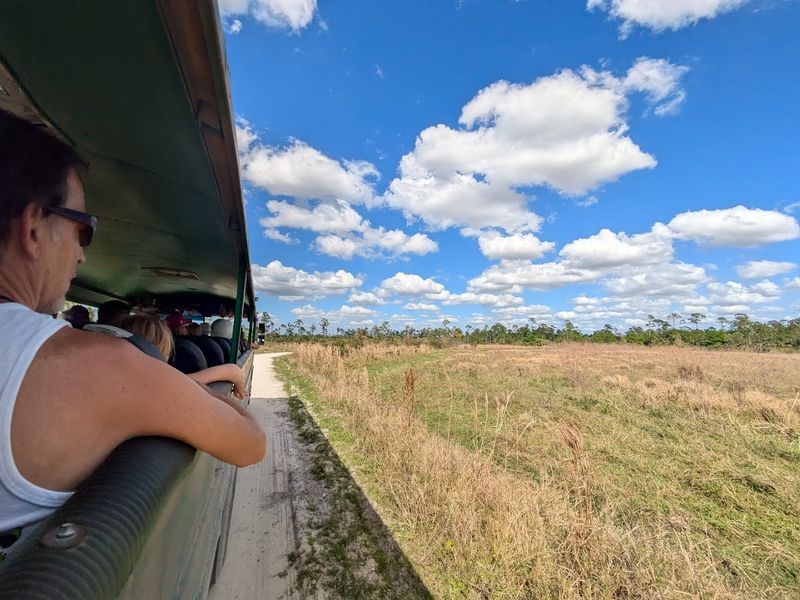 Seasonal Changes and Tour Timing