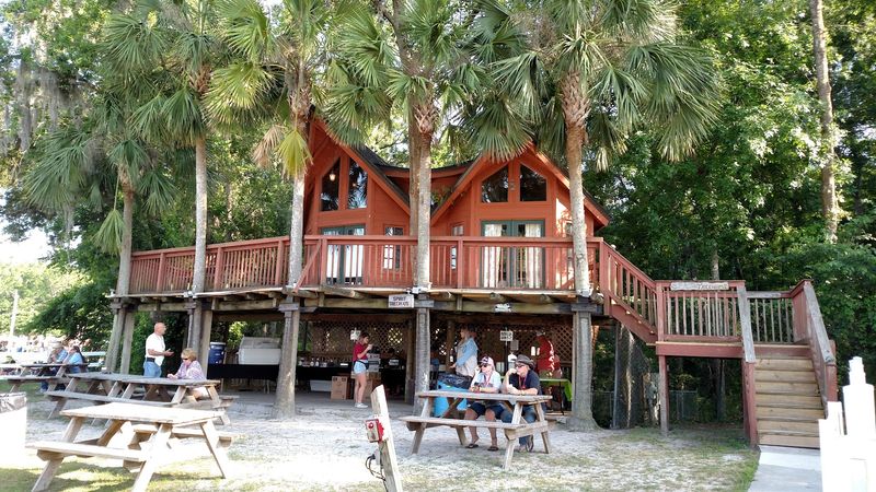 Treehouse and Cabin Rentals for a Unique Stay
