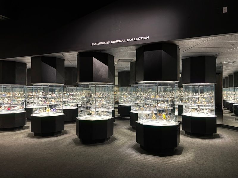 Exhibit Themes and Sections