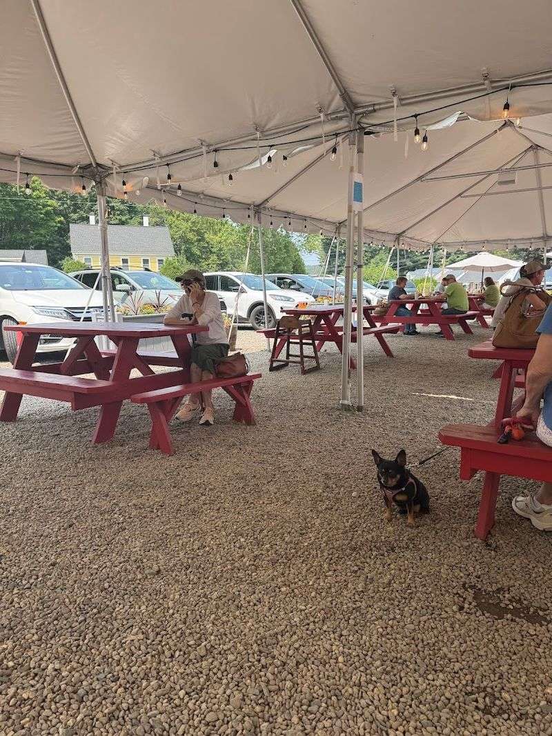 Visitor Info and Tips