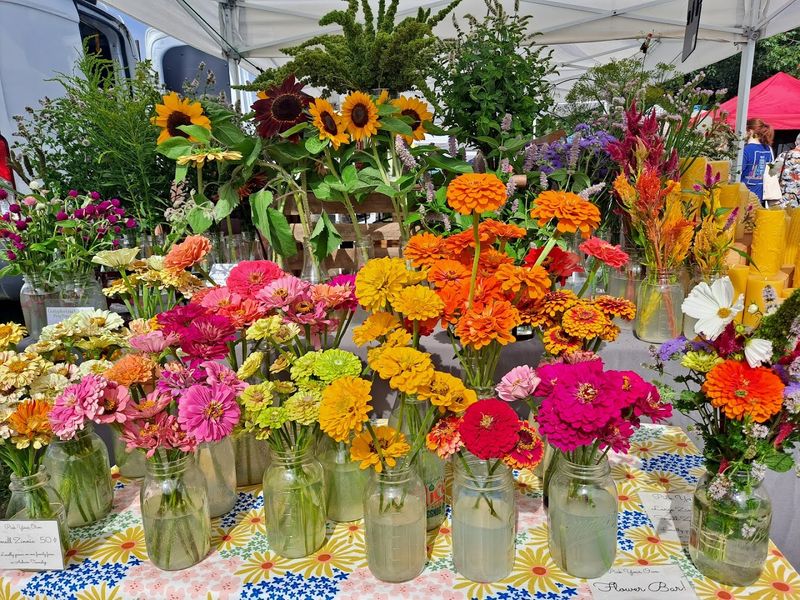 North Union Farmers Market at Shaker Square, Cleveland