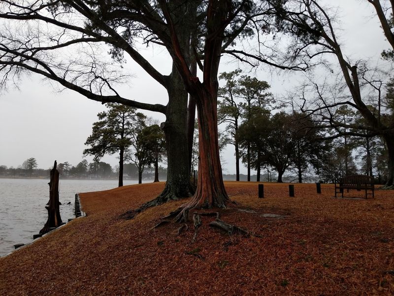 Bonner's Point - Bath