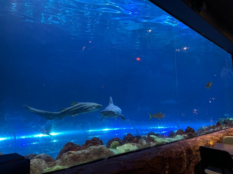 Shark Tank Seating Strategy