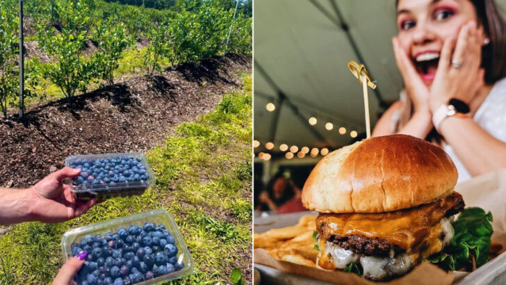 You Can Grab A Meal, Browse The Farm, And Enjoy Live Music At This Florida Stop