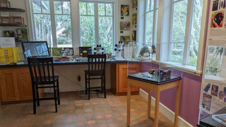 You Can Hold Real Meteorites and Dig Up Your Own Rocks at This Free Museum In Florida