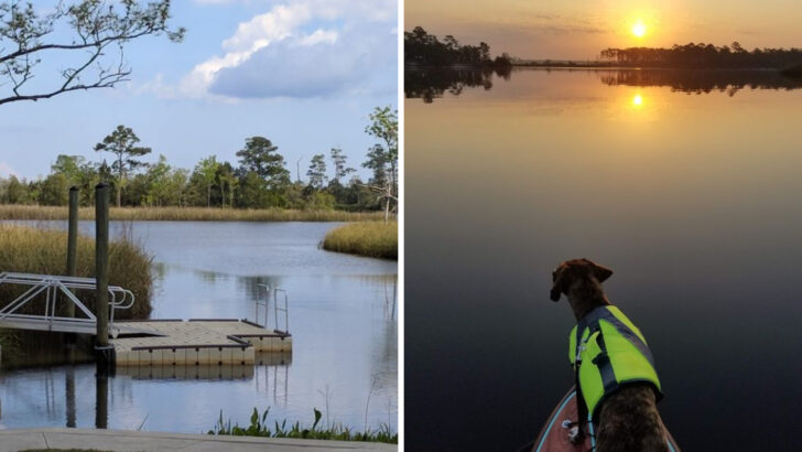 You Can Paddle a Kayak Through a Network of Tidal Creeks Surrounded by 600,000 Acres of National Forest at This Florida State Park