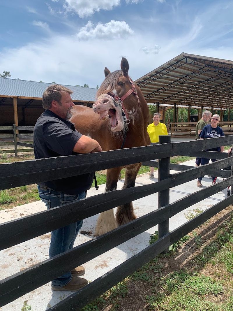 The Cobb Family: The Heart Behind the Farm