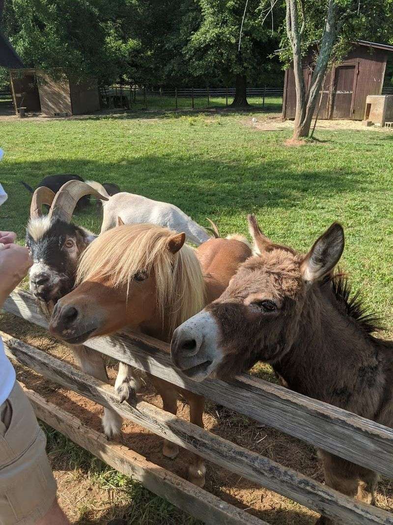 Start With the Real Farm Feeling