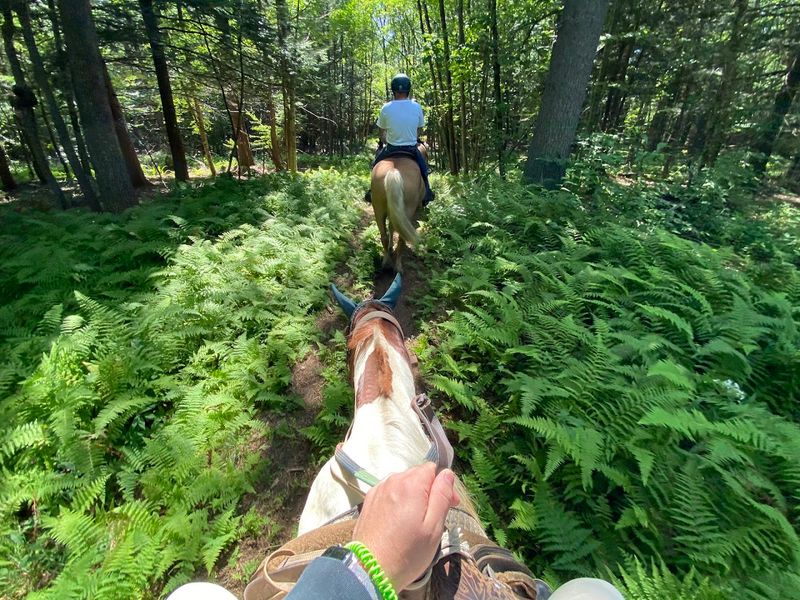 Guided Wooded Trail Rides