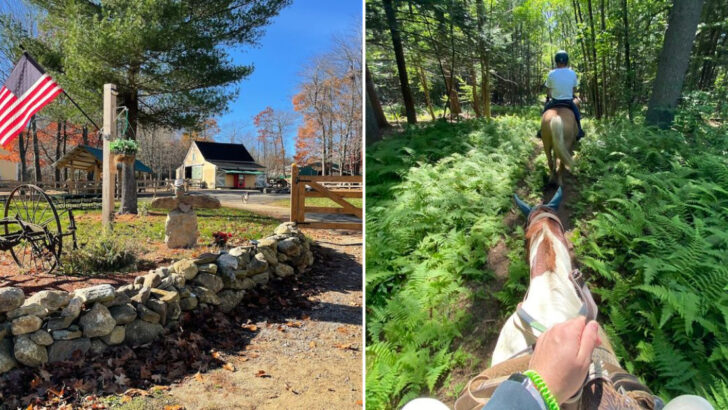 You Can Saddle Up For A Wooded Trail Ride At This Family-Friendly Massachusetts Ranch