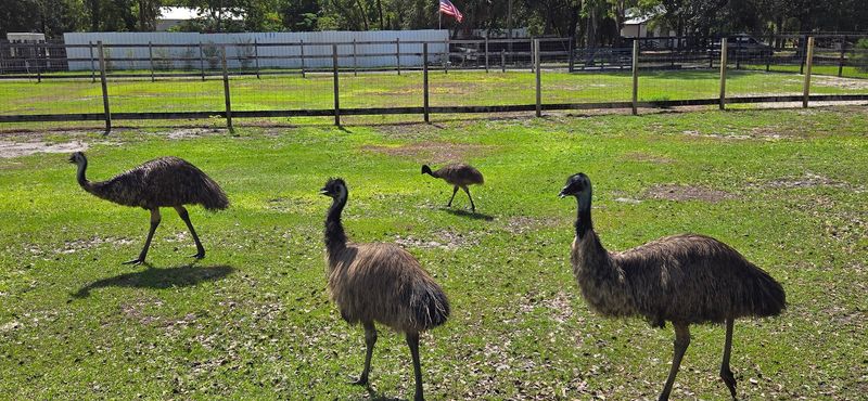 A Small Farm With a Big Personality