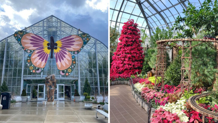 You Can Walk Through a Five-Story Tropical Conservatory in Ohio With 3,500 Plants Inside