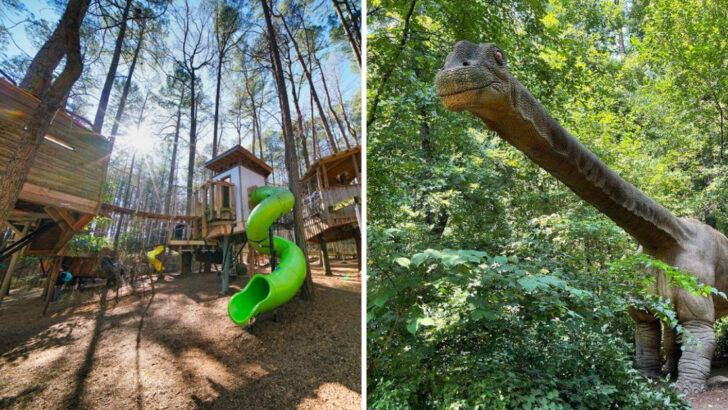 You&rsquo;ll Find a Forest of Dinosaurs Waiting at This North Carolina Museum