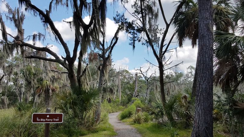 Nature Programs and Ranger-Led Activities