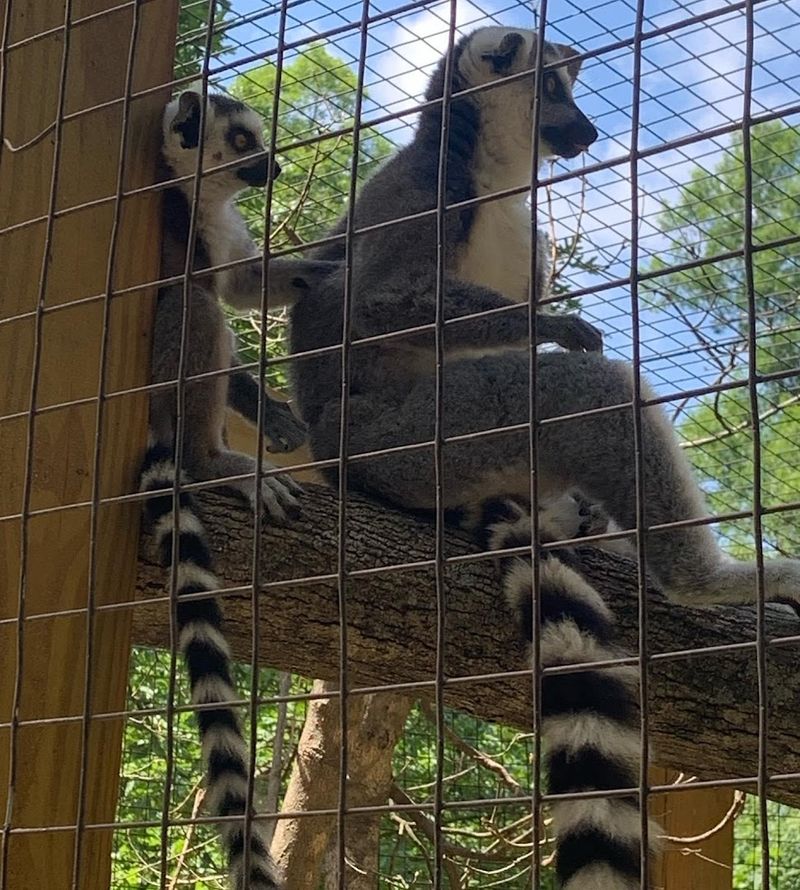Yellow River Wildlife Sanctuary (Lilburn)