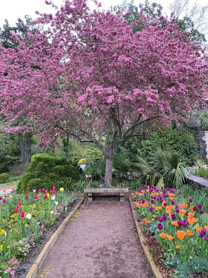 Sarah P. Duke Gardens &ndash; Durham