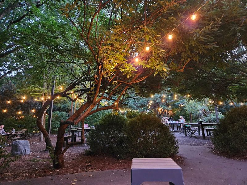 Rosie's Coffee & Wine Garden — Charlotte