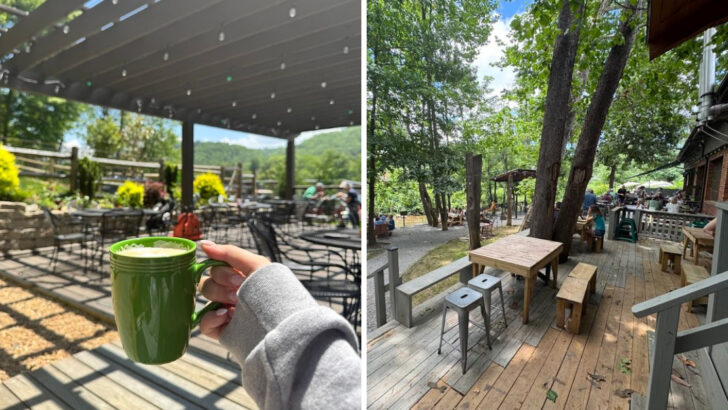 10 Charming Patio Cafés in North Carolina That Deserve More Attention