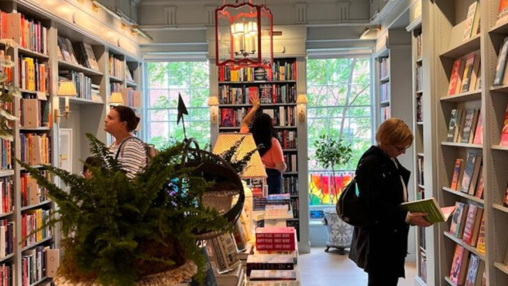 10 Cozy Bookstores in Massachusetts Perfect for Slow Browsing and Rainy Afternoons