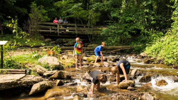 10 Cozy Mountain Towns in Georgia That Are Perfect Year-Round
