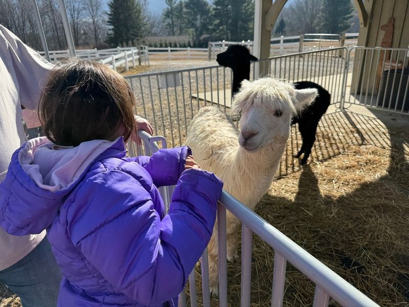 Winchester Creek Farm (Waynesville)