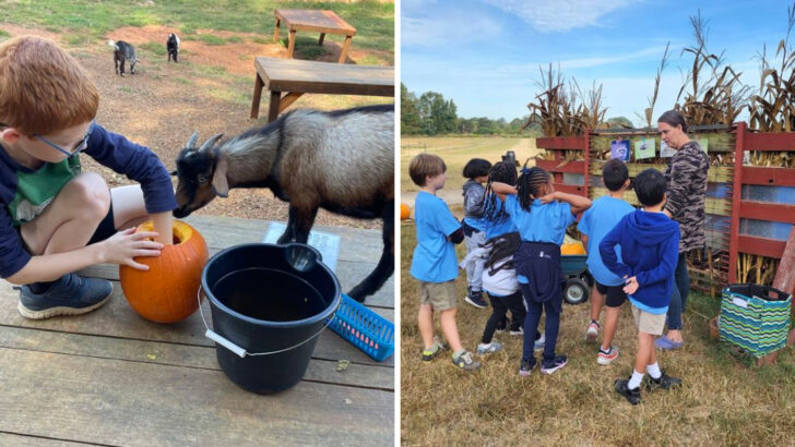 10 Family Farms in North Carolina Where Kids and Adults Both Enjoy Slowing Down