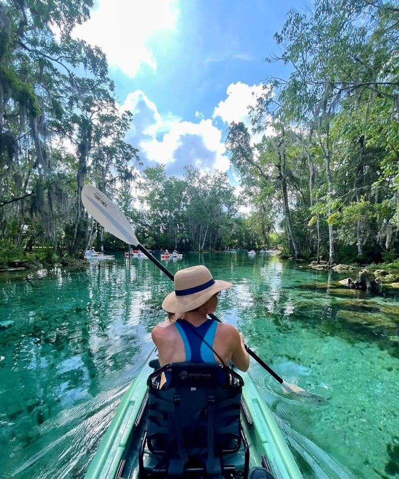 Kayaking with Manatees in Crystal River