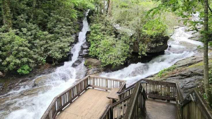 10 Family-Friendly Hiking Trails in Georgia With Waterfalls and Easy Scenic Views