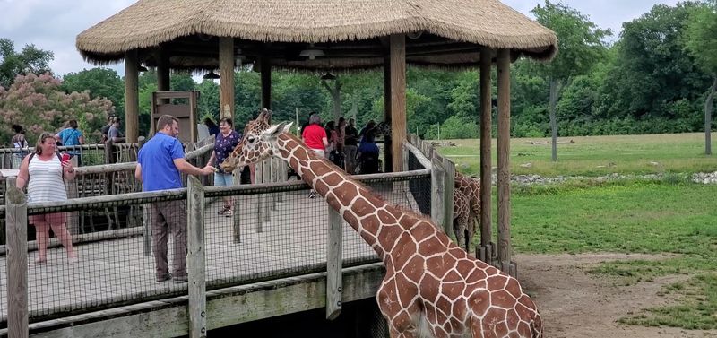 Columbus Zoo and Aquarium - Powell, Ohio