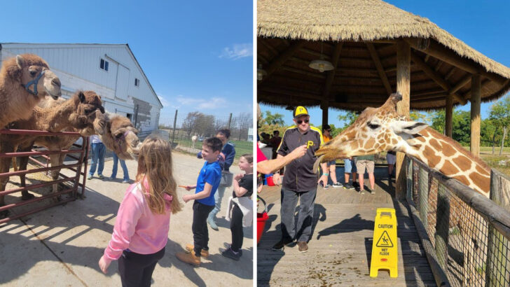 10 Family-Friendly Zoos in Ohio That Make Easy Spring Day Trips