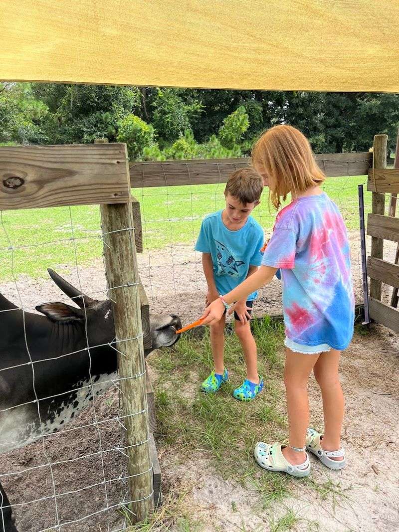 Bell Family Farm and Apiary LLC