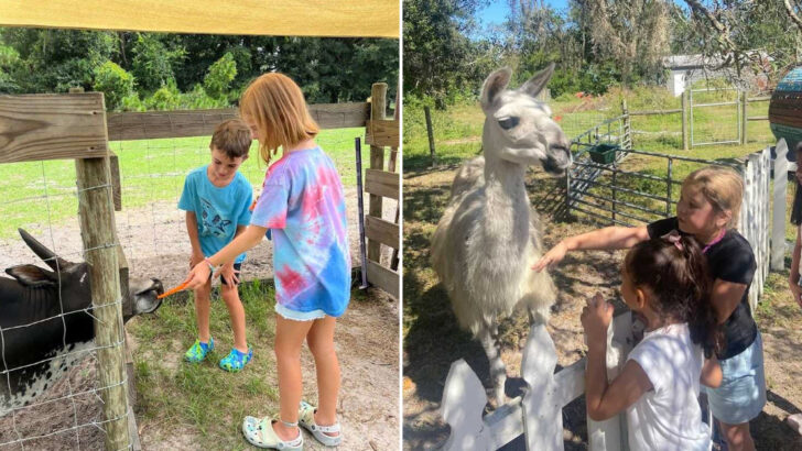 10 Florida Animal Farms Where Kids Can Feed Goats, Cows, and Friendly Barnyard Animals