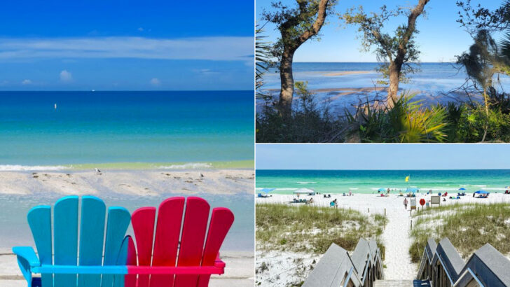 10 Florida Beach Walks Perfect for Cooler Morning Temperatures in May