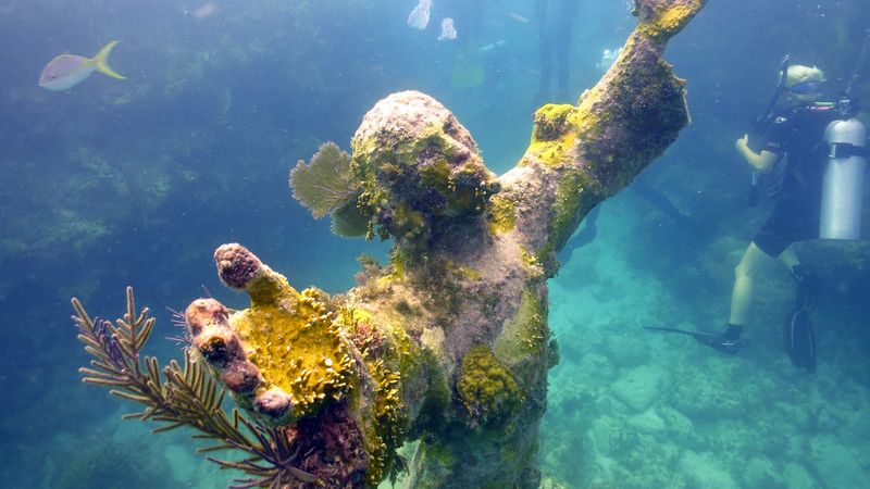 Snorkel or Dive Christ of the Abyss in Key Largo