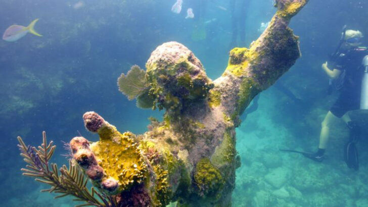 10 Florida Experiences That Are Difficult To Find Anywhere Else in the Country