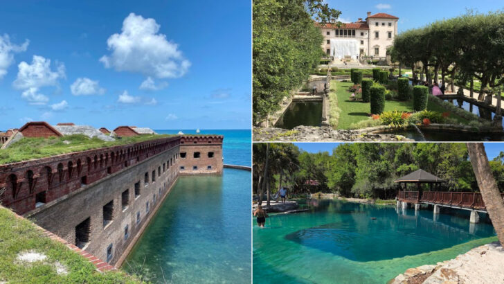 10 Florida Favorites That Visitors Often Miss on Their First Trip