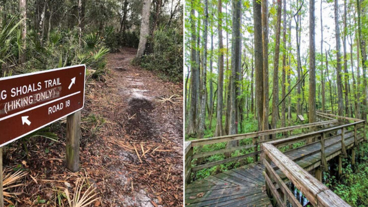 10 Florida Hidden Trails Worth Exploring Before Summer Heat Arrives