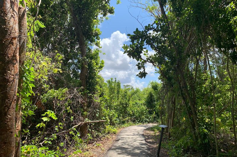 Anhinga Trail at Everglades National Park (Homestead)