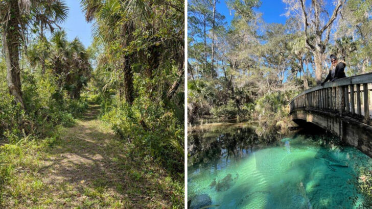 10 Florida Hiking Adventures Perfect for a Weekend Trip