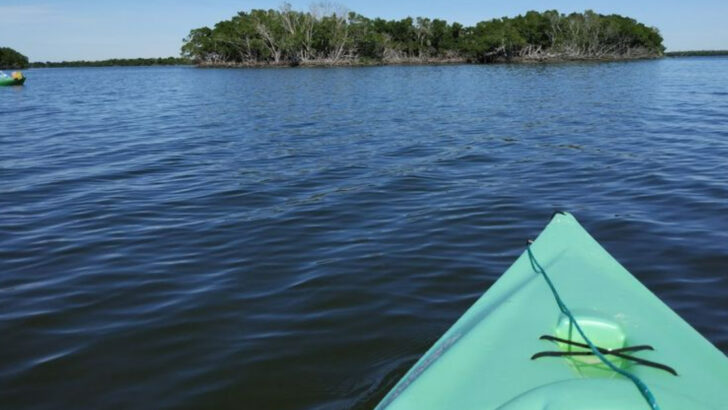 10 Florida Kayaking Spots With Calm Water and Warm Weather