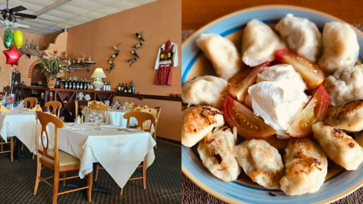 10 Florida Pierogi Spots Where Old-World Flavors Meet Unexpected Coastal Dining