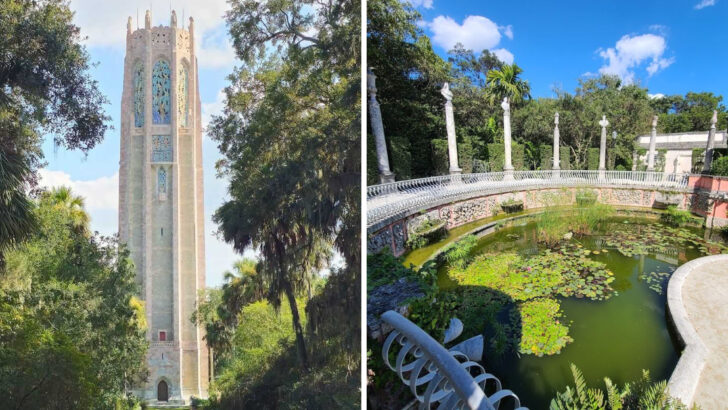10 Florida Places With the Best Views Beyond the Beaches