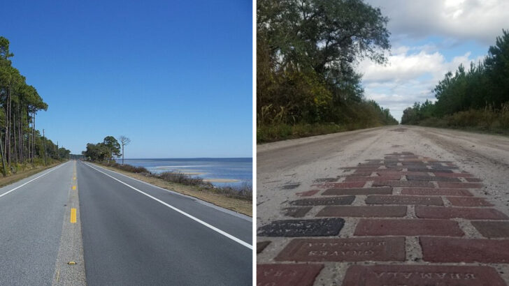 10 Florida Scenic Drives Worth Taking Before Summer Heat Peaks