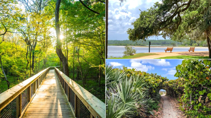 10 Florida Travel Gems Perfect for June Adventures