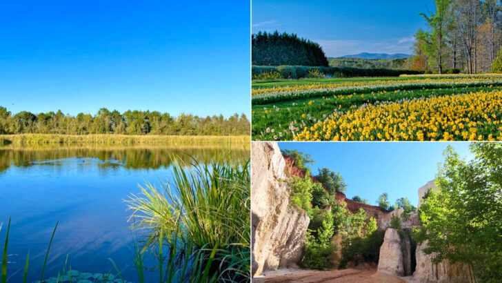 10 Georgia Places That Feel Calm, Green, and Perfect for June